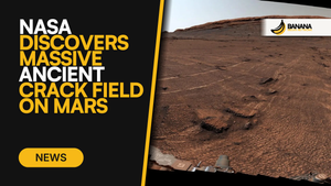 NASA Discovers Massive Ancient Crack Field on Mars